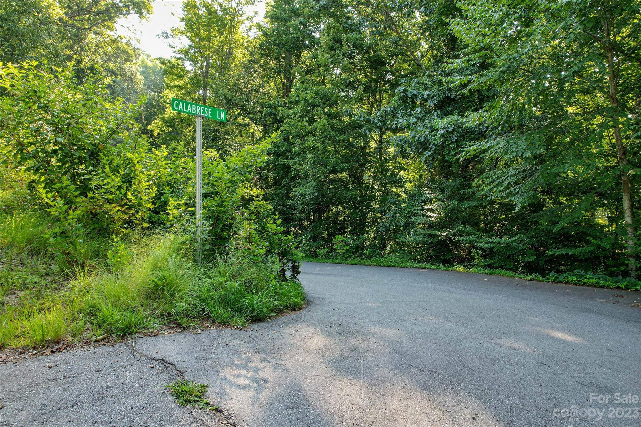 12 Calabrese LN, Candler, NC 28715