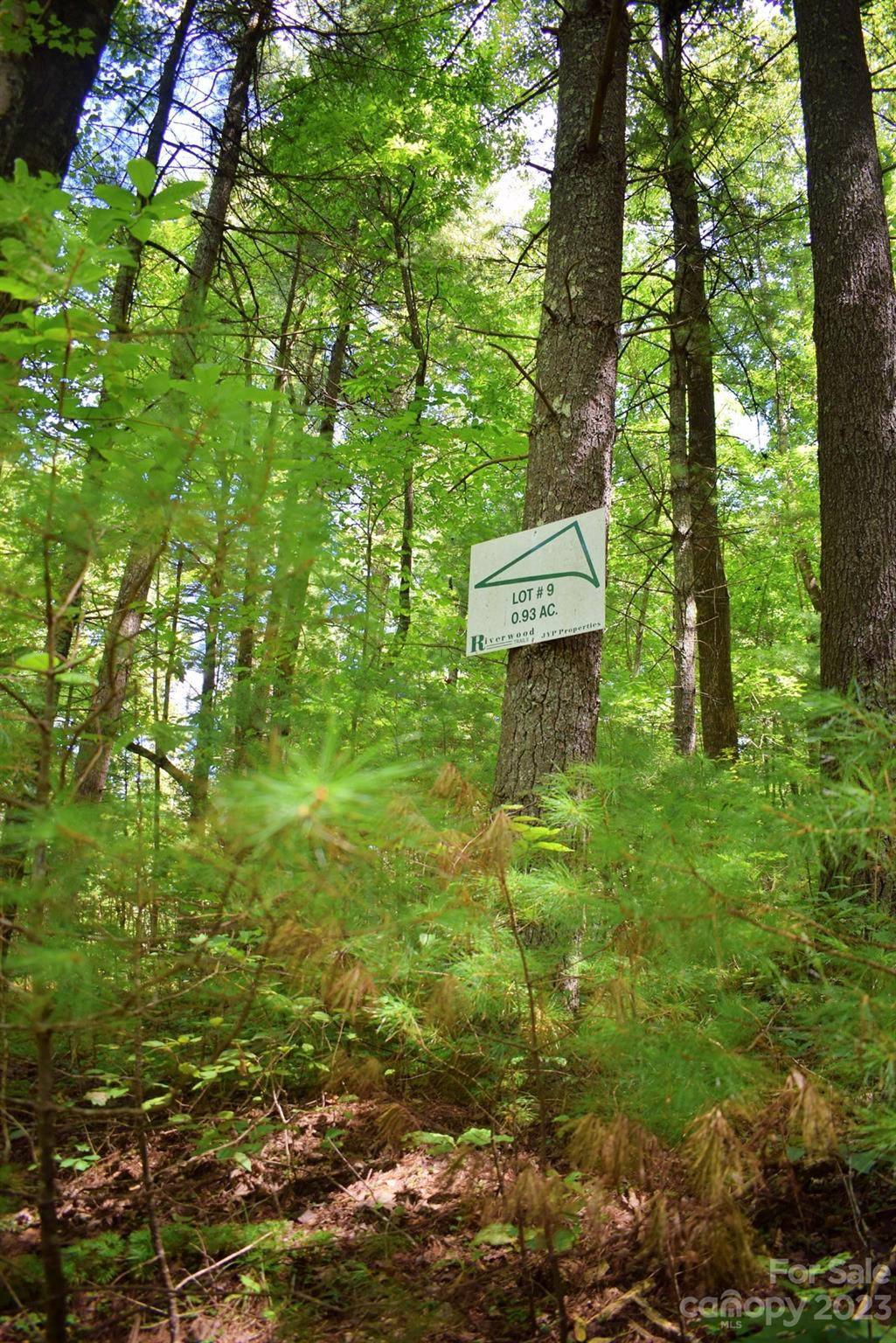 0 Never Blue RD, Flat Rock, NC 28731