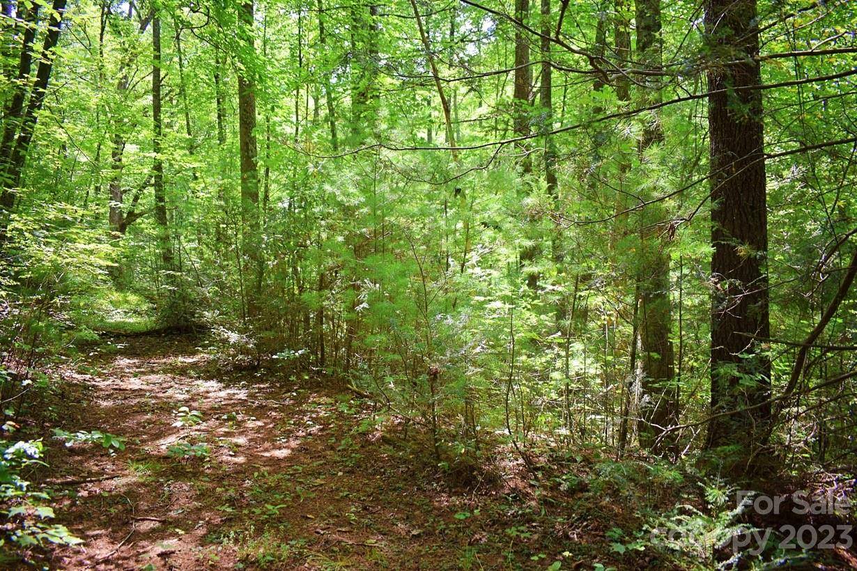 0 Never Blue RD, Flat Rock, NC 28731