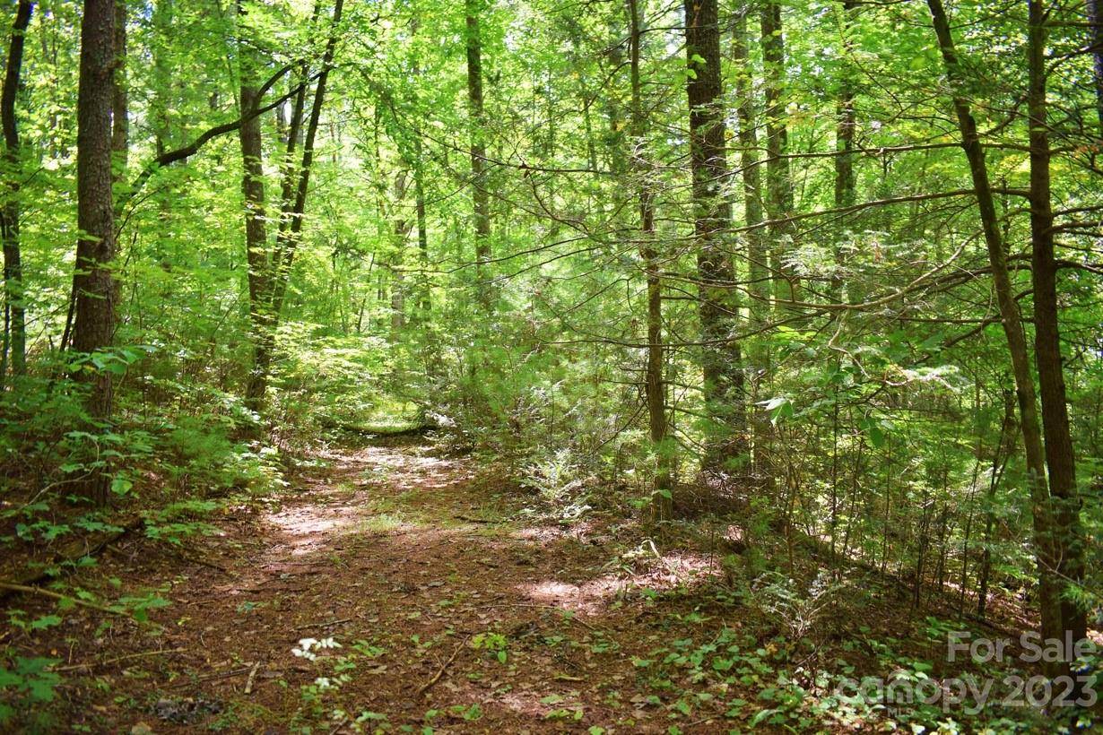 0 Never Blue RD, Flat Rock, NC 28731