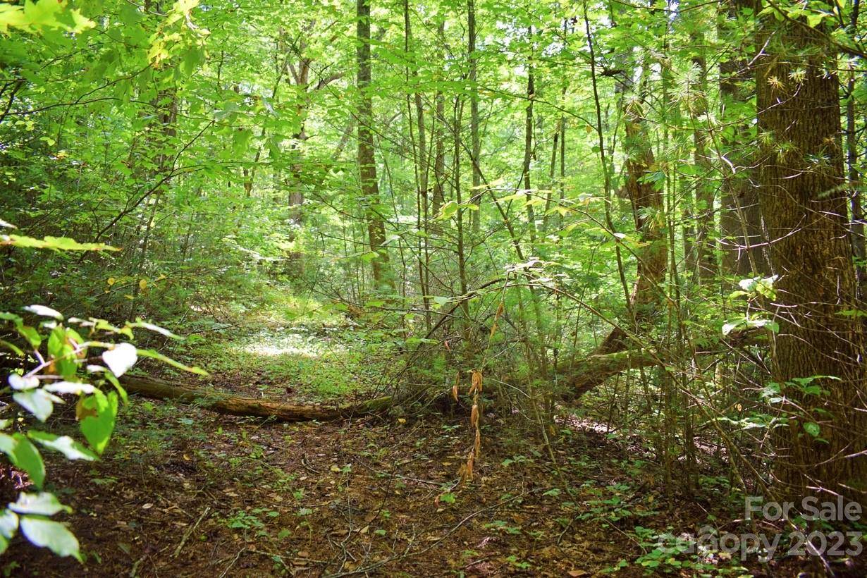 0 Never Blue RD, Flat Rock, NC 28731