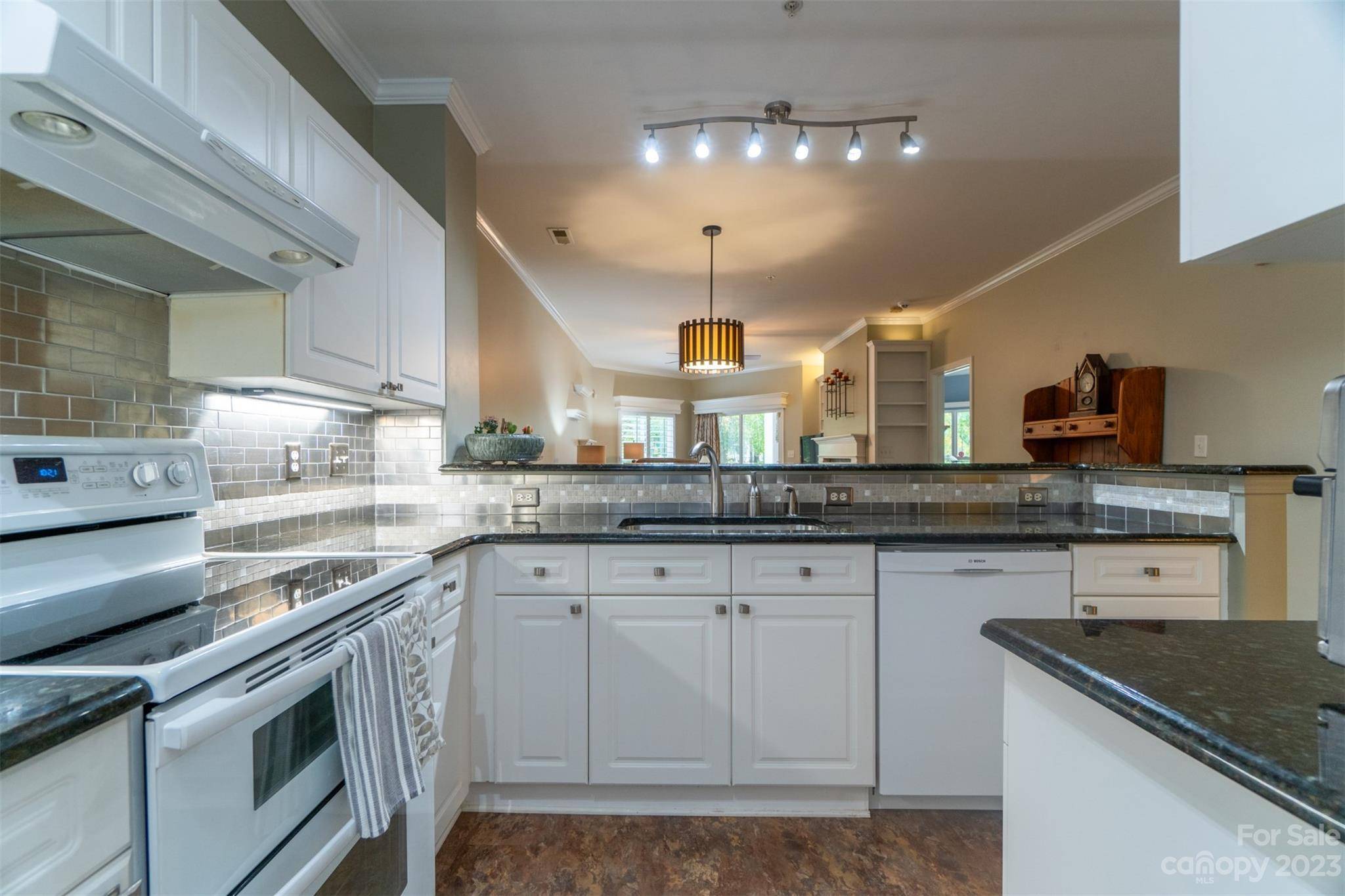 737 Peninsula DR, Davidson, NC 28036