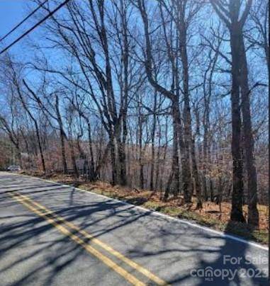 109 Pinnacle Ridge RD, Beech Mountain, NC 28604