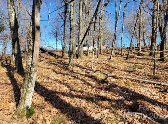109 Pinnacle Ridge RD, Beech Mountain, NC 28604