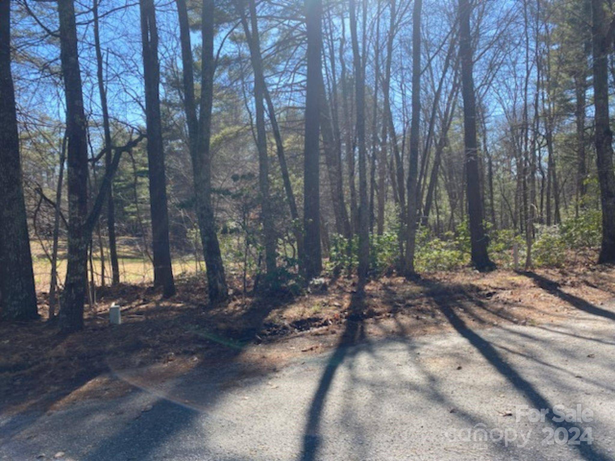 99999 Four Oaks DR, Arden, NC 28704
