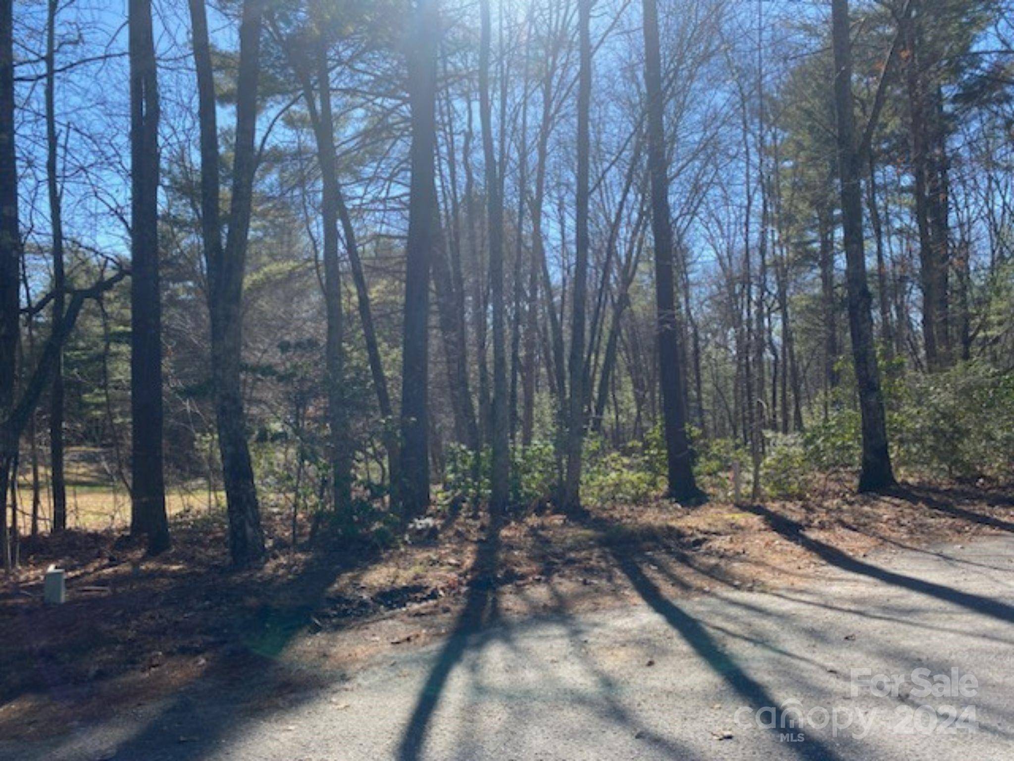99999 Four Oaks DR, Arden, NC 28704