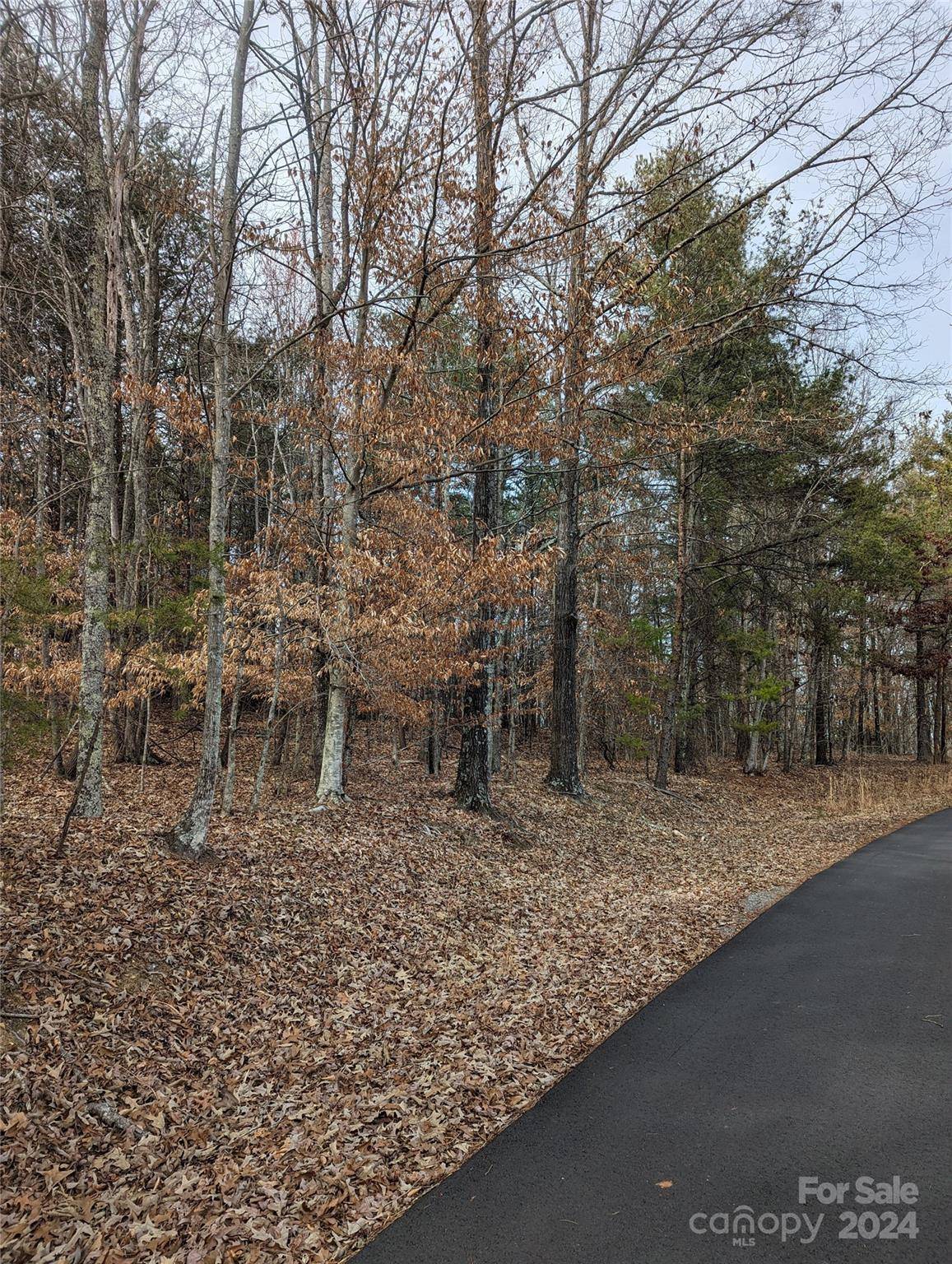 00 Laurel CIR, Columbus, NC 28722