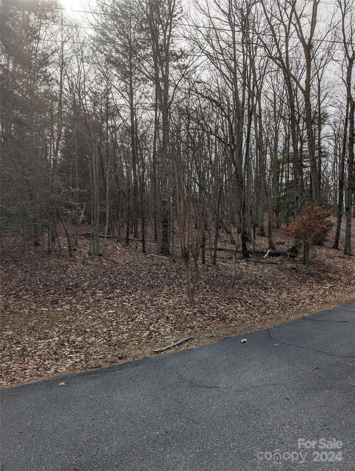 00 Laurel CIR, Columbus, NC 28722