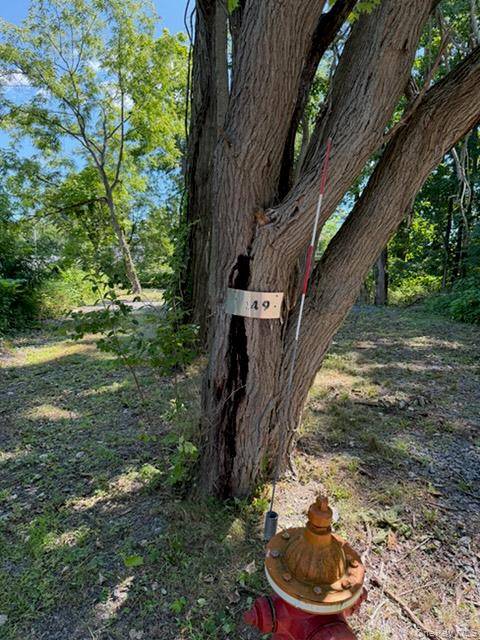 149 Sackett, Esopus, NY 12466