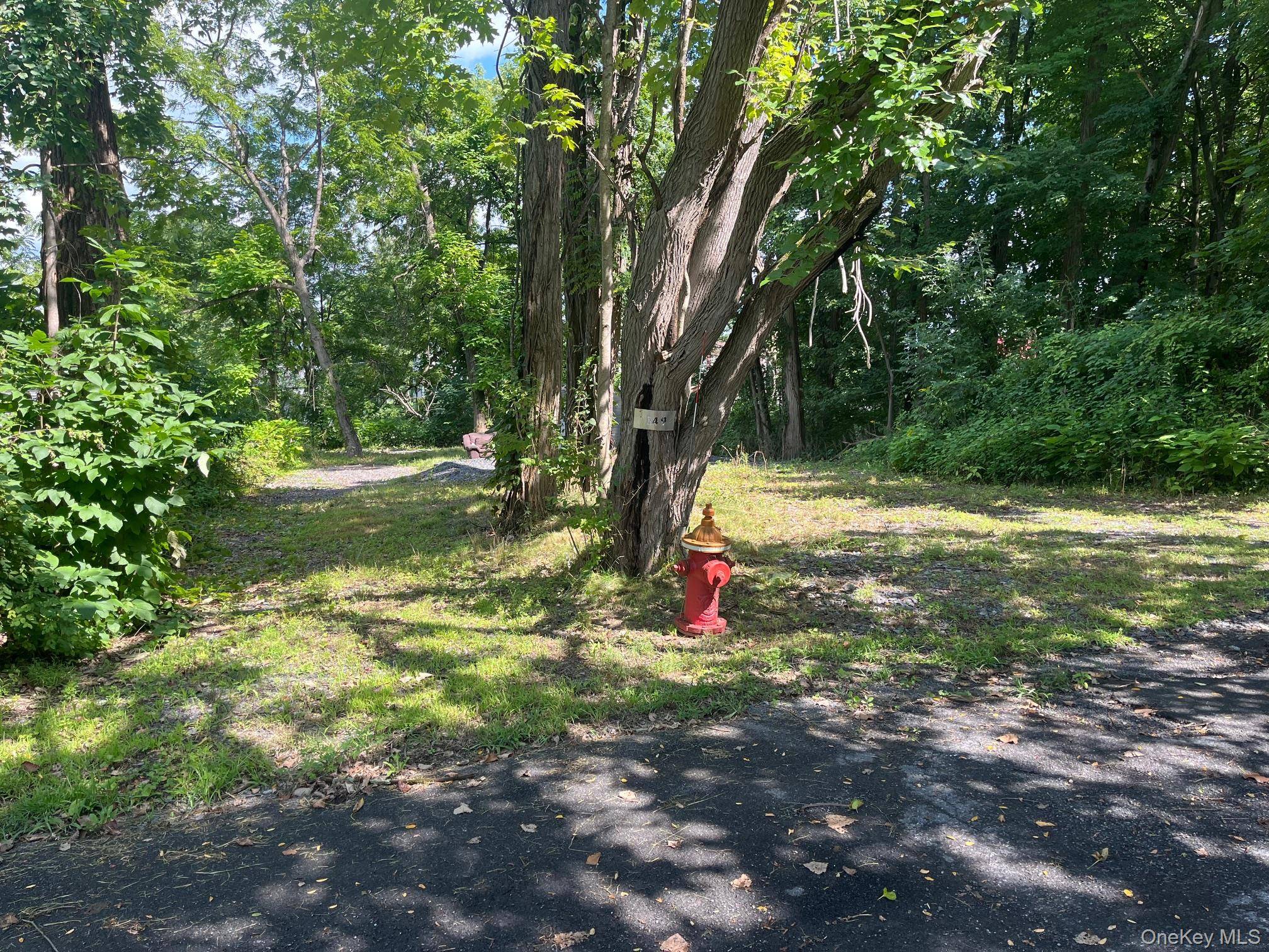 149 Sackett, Esopus, NY 12466