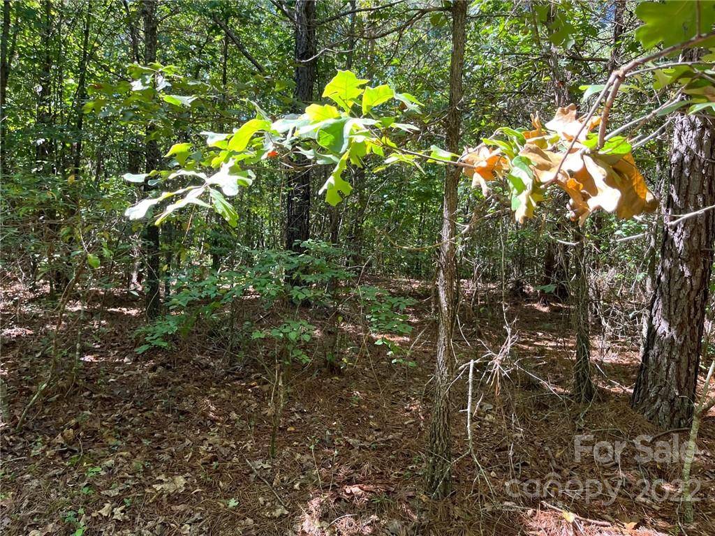 0 Pearidge RD #5, Bostic, NC 28018