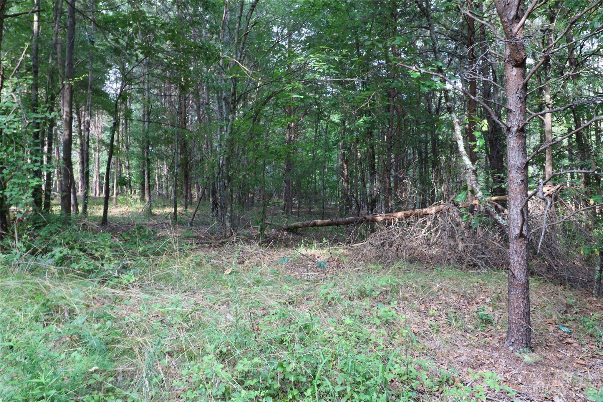 Lot 29 Whispering Pines CIR, Forest City, NC 28043