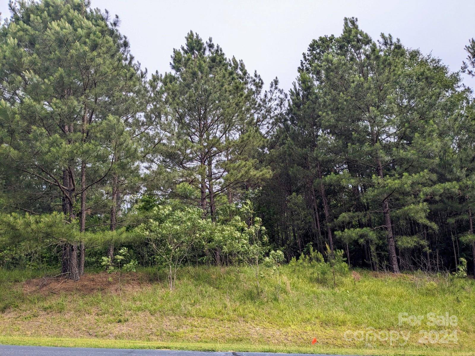 312 Watersedge DR, Cross Hill, SC 29332