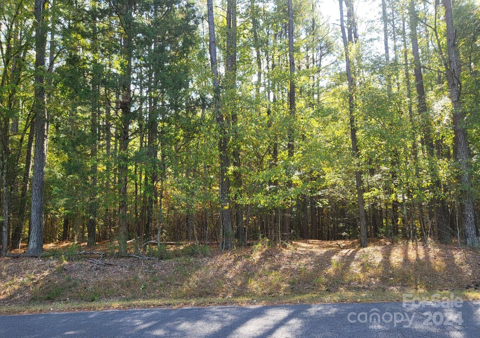 2031 Tiger Paw LN, York, SC 29745