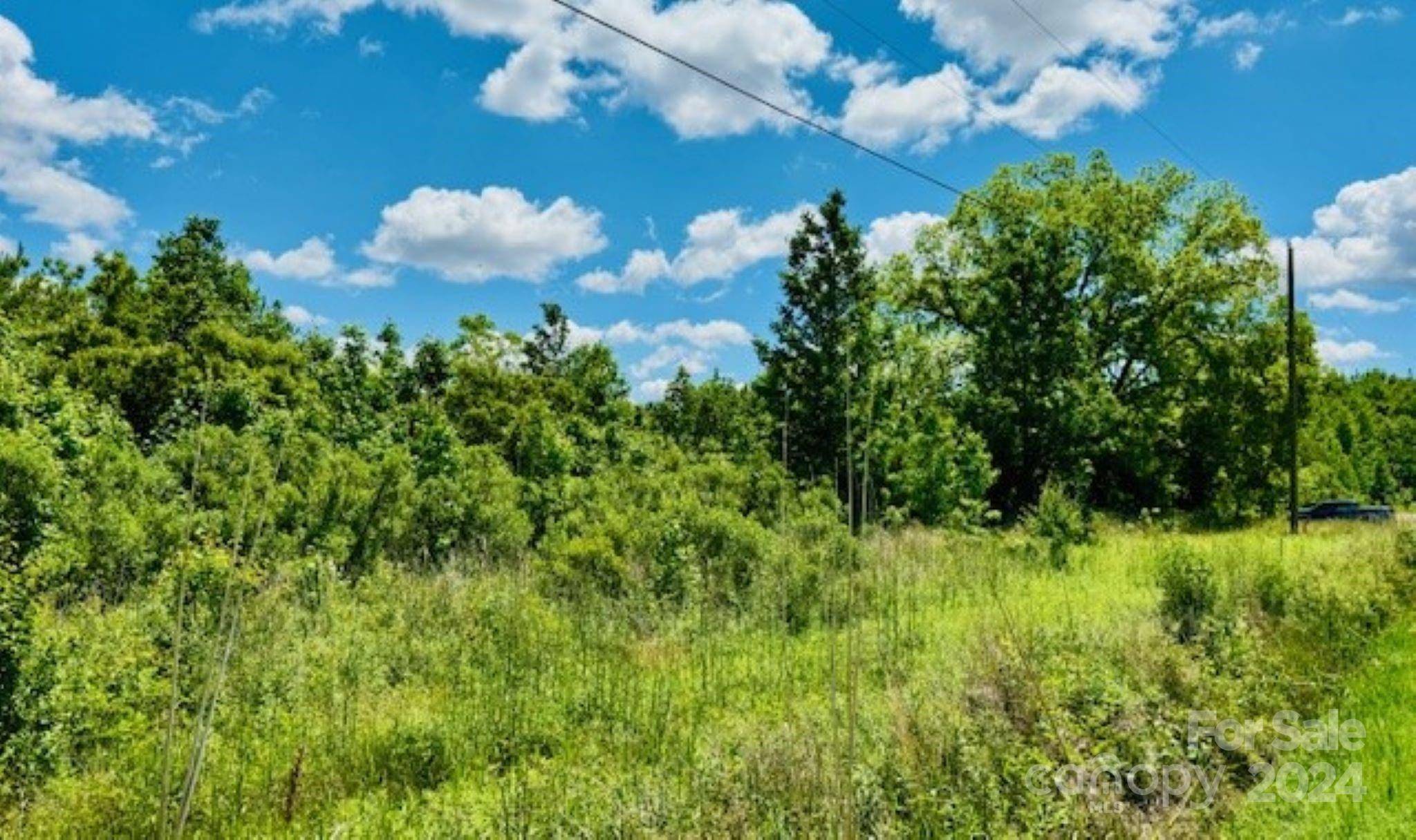 NA Hwy 9 HWY, Clio, SC 29525