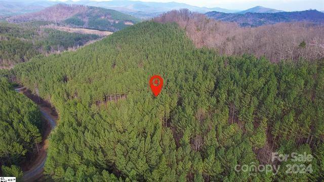 0 Pine Needle LN #27, Bostic, NC 28018