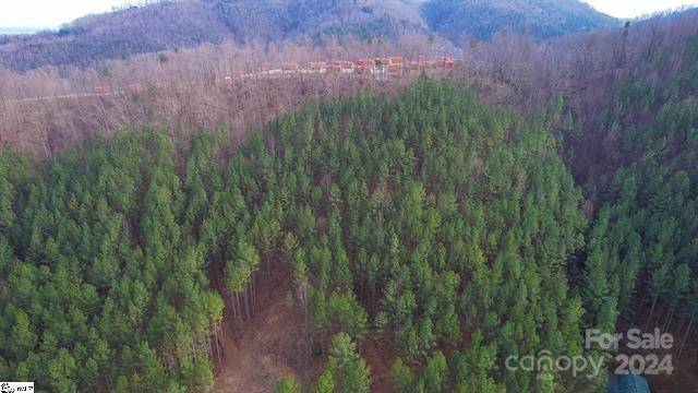 0 Pine Needle LN #27, Bostic, NC 28018