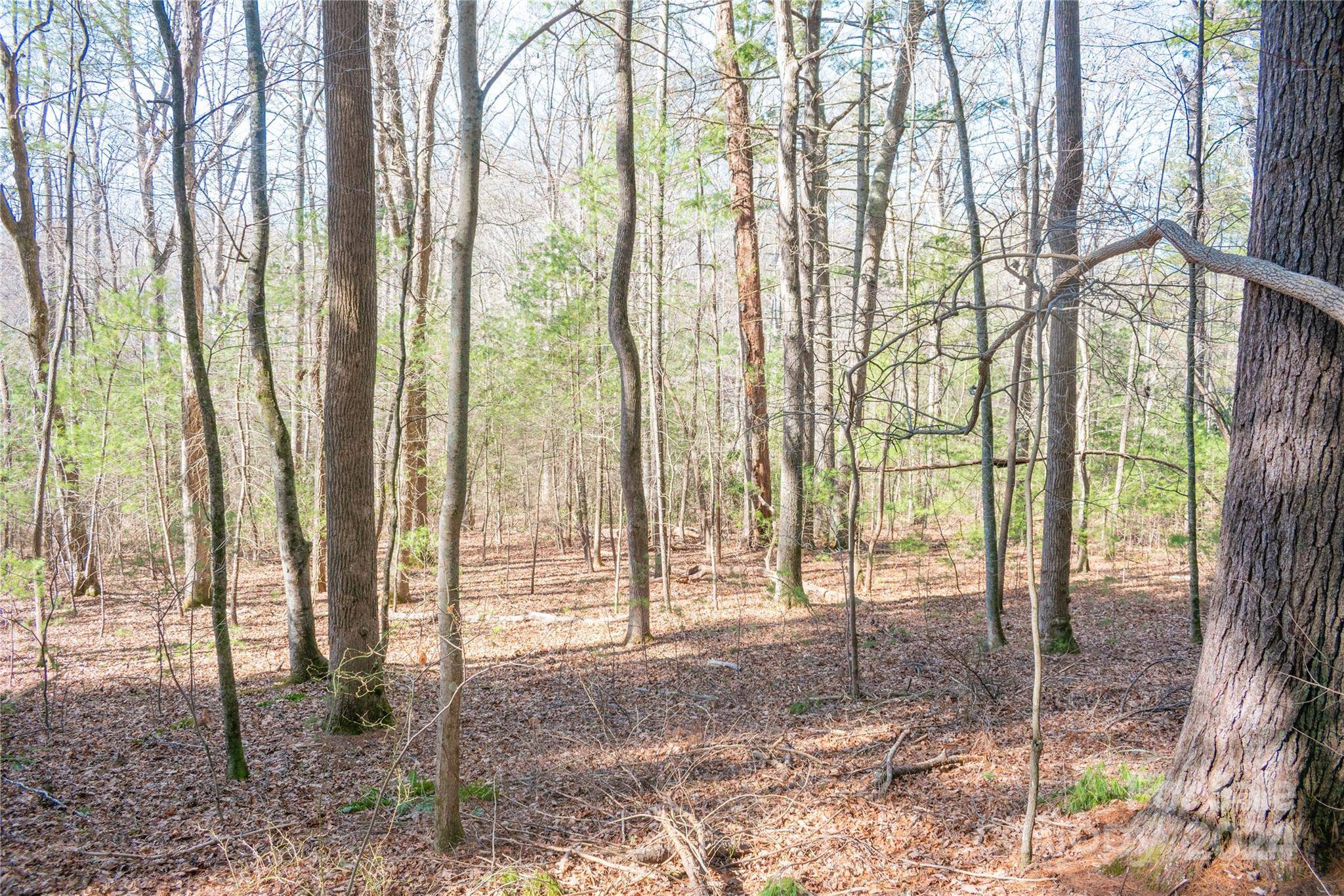 TBD Two Brooks TRL, Fletcher, NC 28732