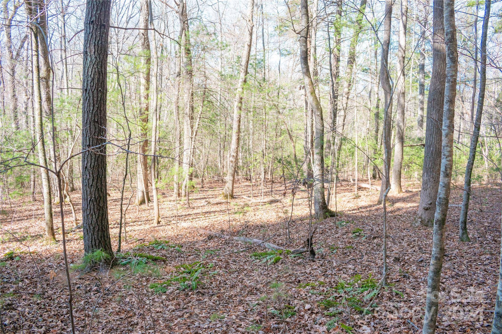 TBD Two Brooks TRL, Fletcher, NC 28732