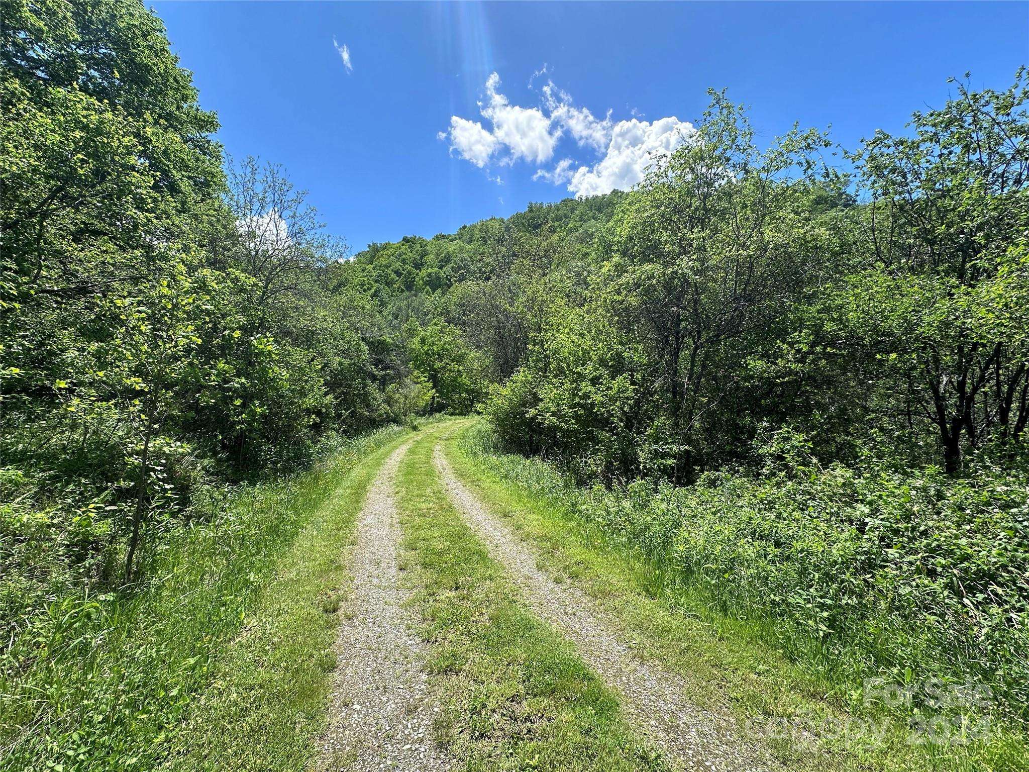 0000 Wayward CV, Clyde, NC 28721