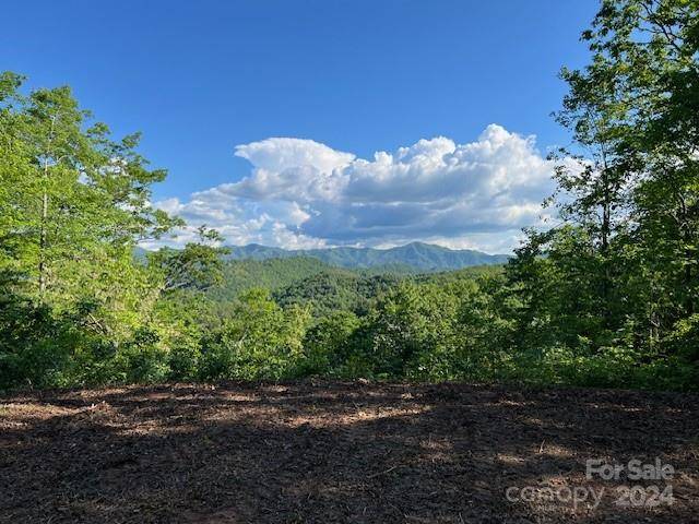 Lot 70 Round Top RD, Almond, NC 28702