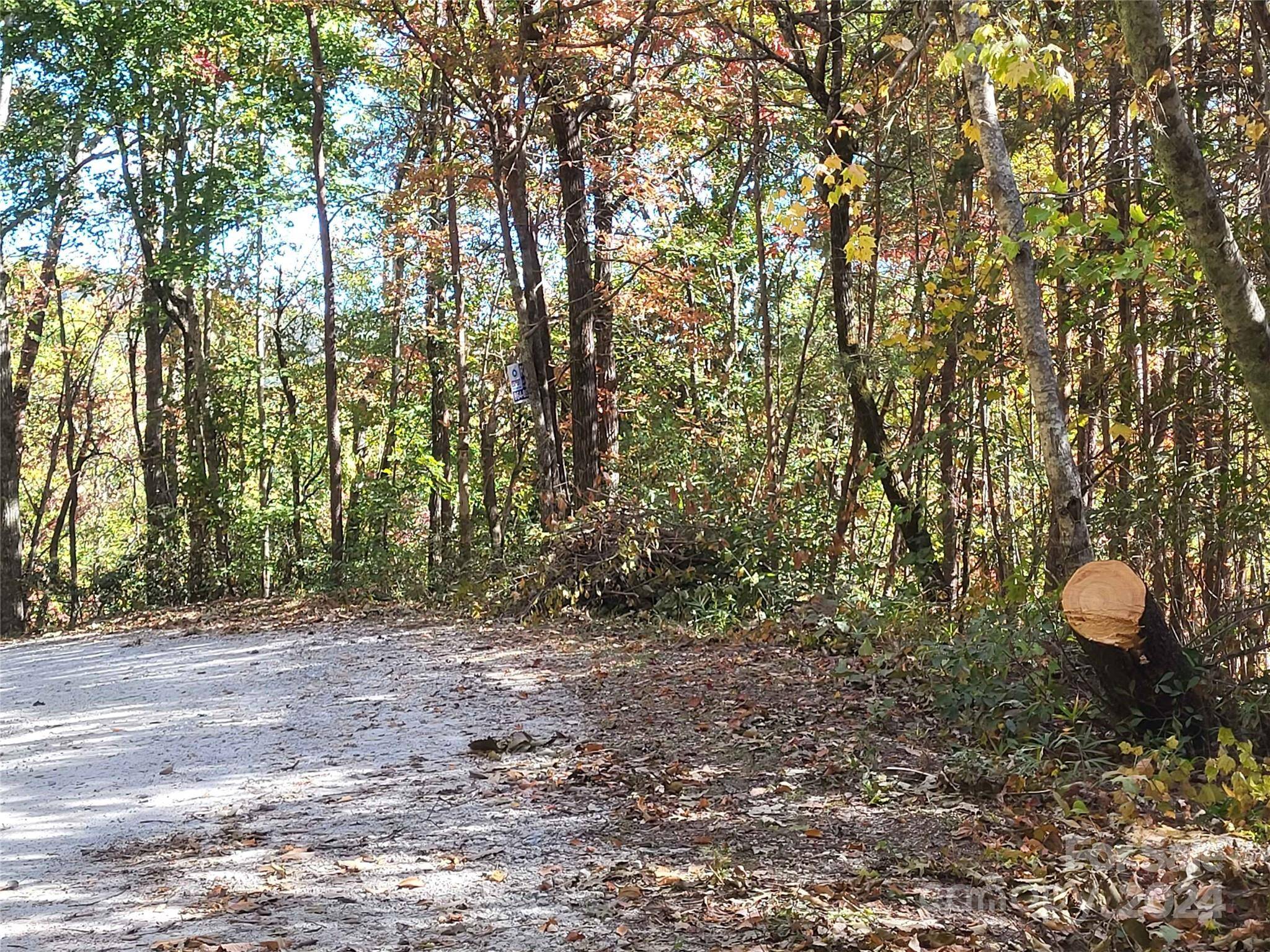 00 Persimmon Ridge RD, Cleveland, SC 29635