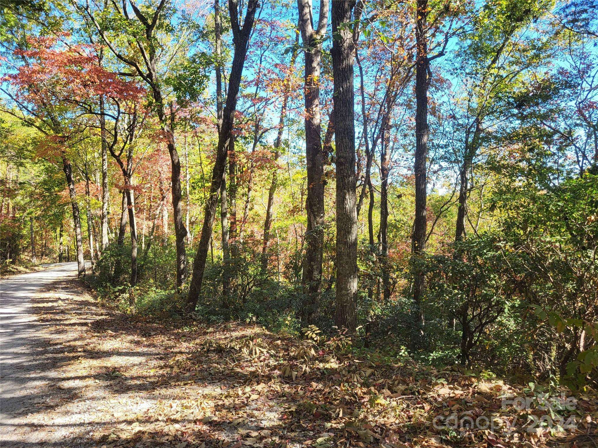 00 Persimmon Ridge RD, Cleveland, SC 29635
