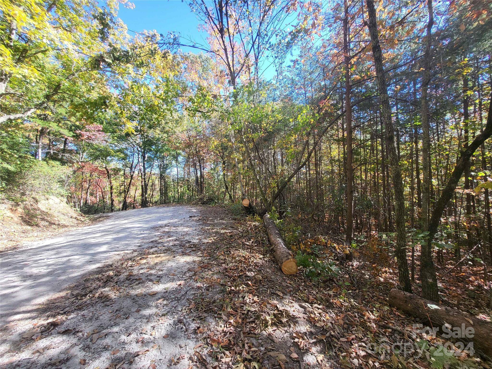 00 Persimmon Ridge RD, Cleveland, SC 29635