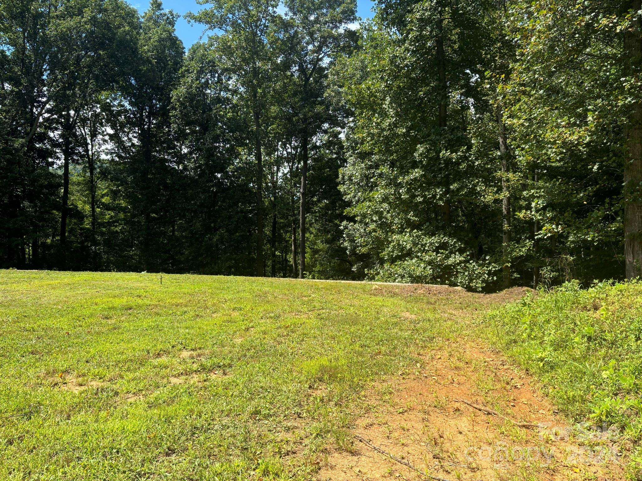 90 Last Coyote TRL, Canton, NC 28716