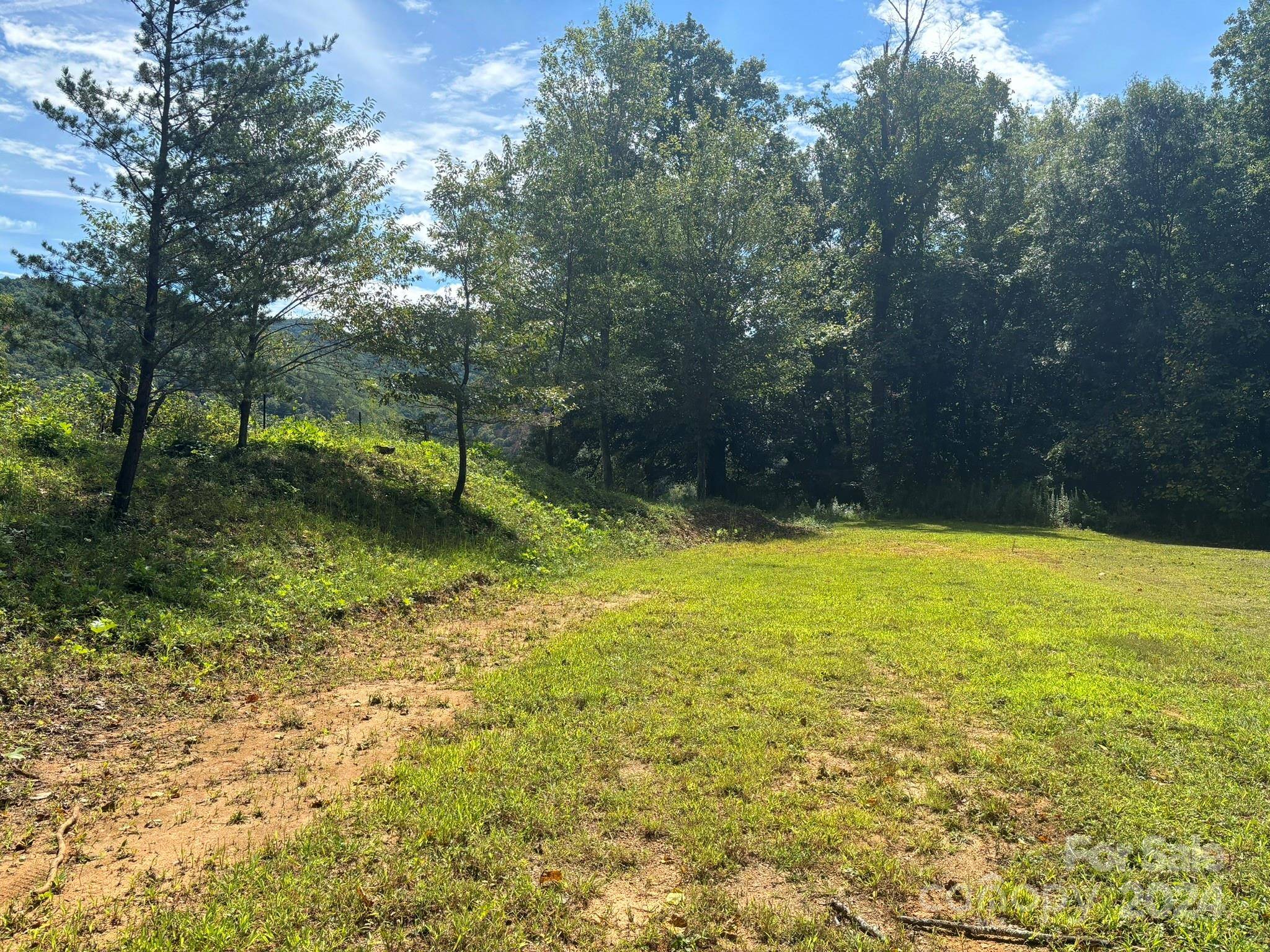90 Last Coyote TRL, Canton, NC 28716