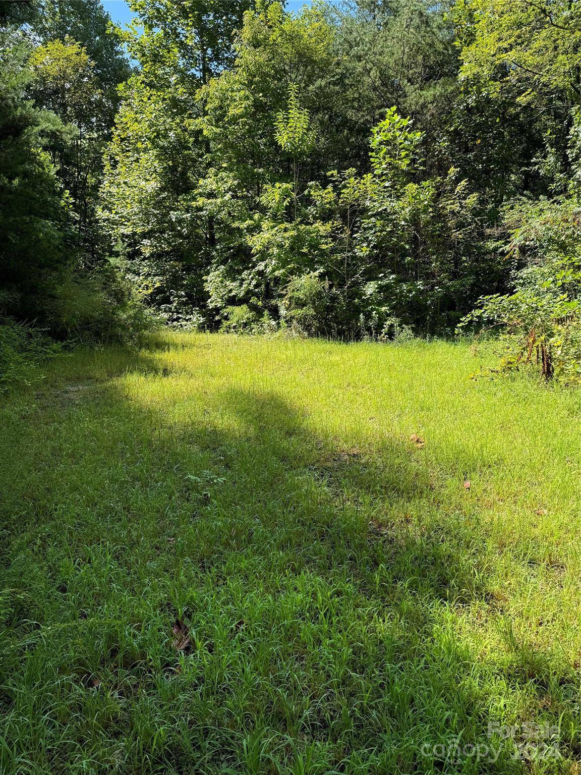 0 Green Birch DR, Bryson City, NC 28713