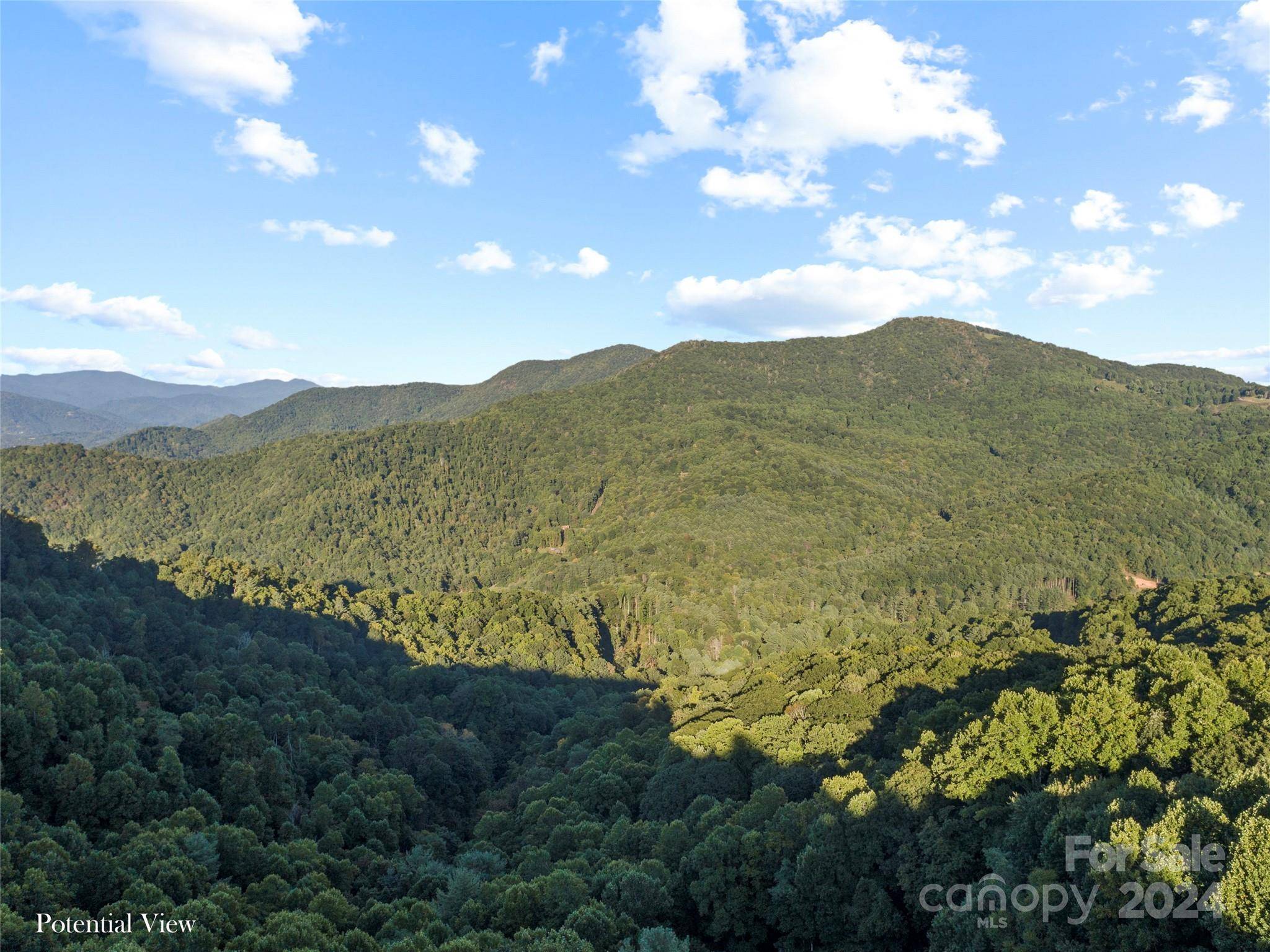 0000 Joslin LN, Burnsville, NC 28714