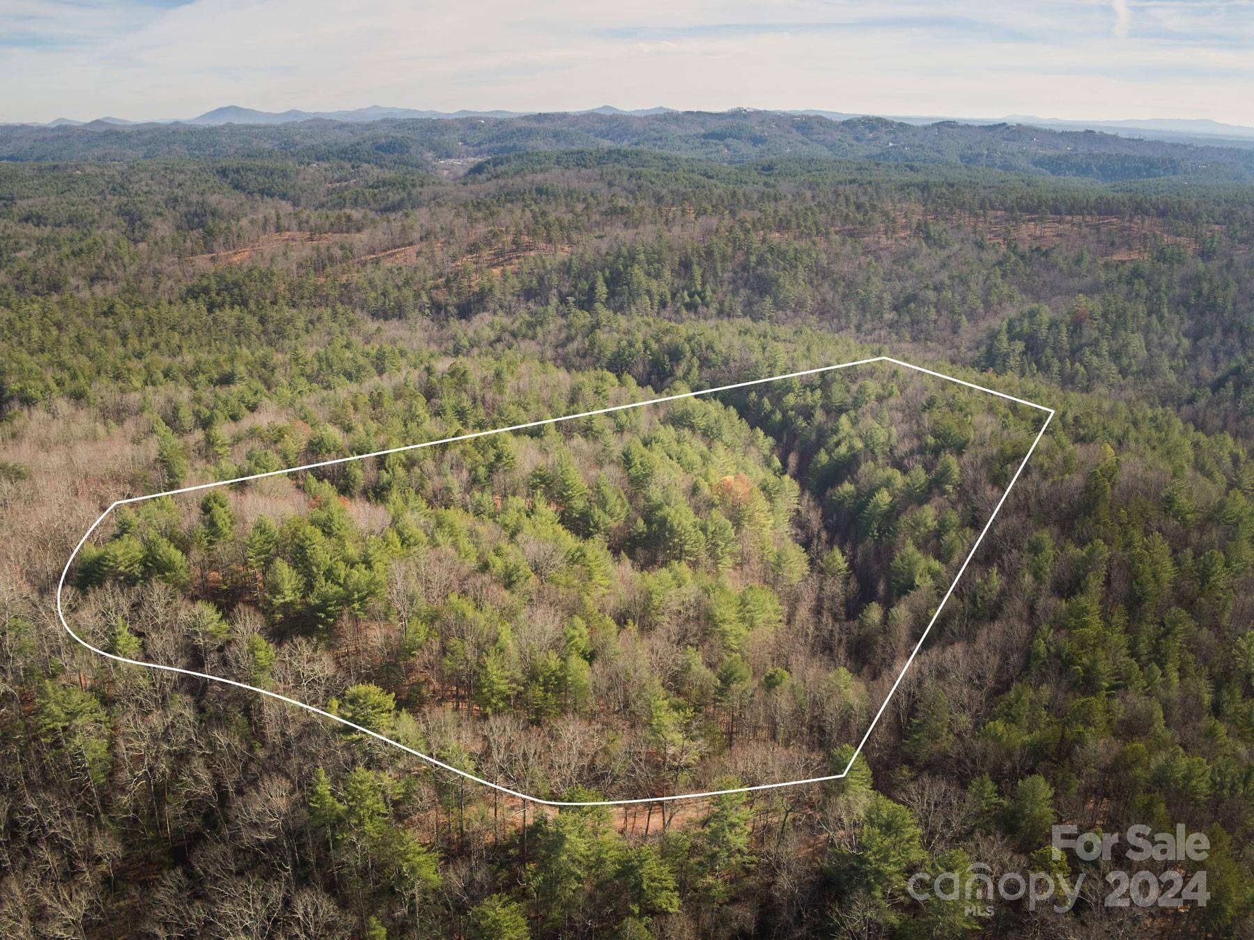 1892 Black Hills DR, Collettsville, NC 28611