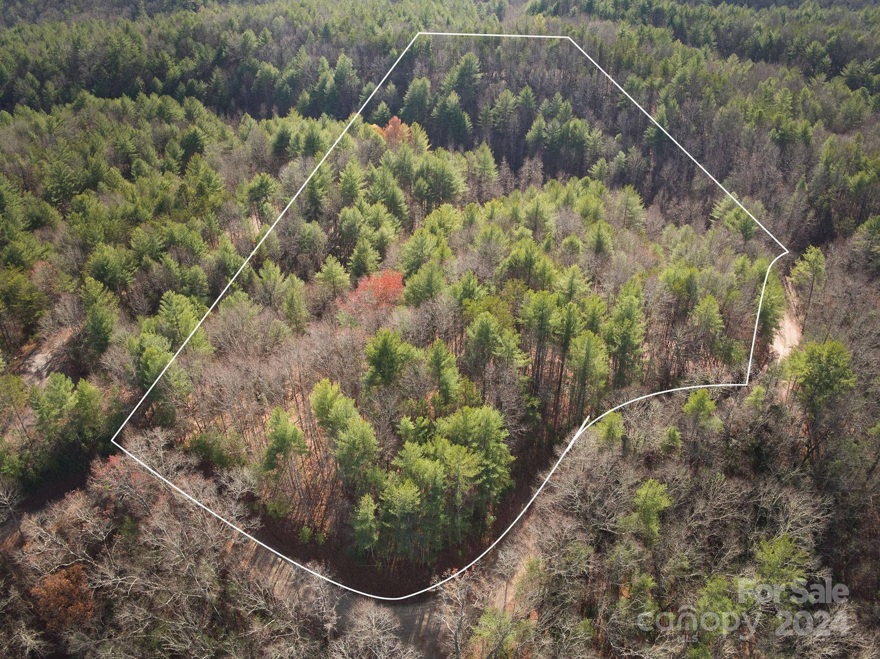 1892 Black Hills DR, Collettsville, NC 28611
