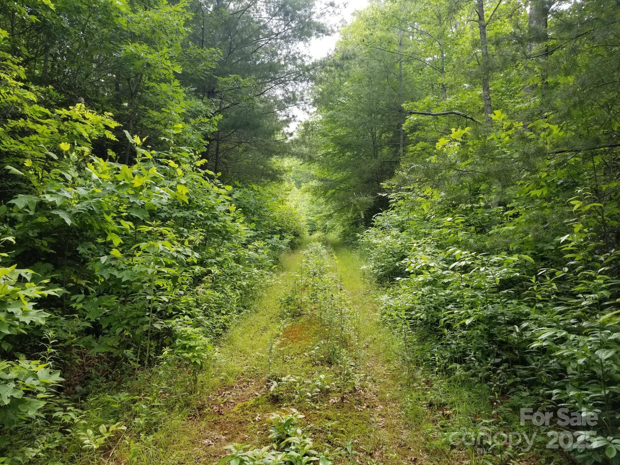 00 Rainstone DR #24, Burnsville, NC 28714