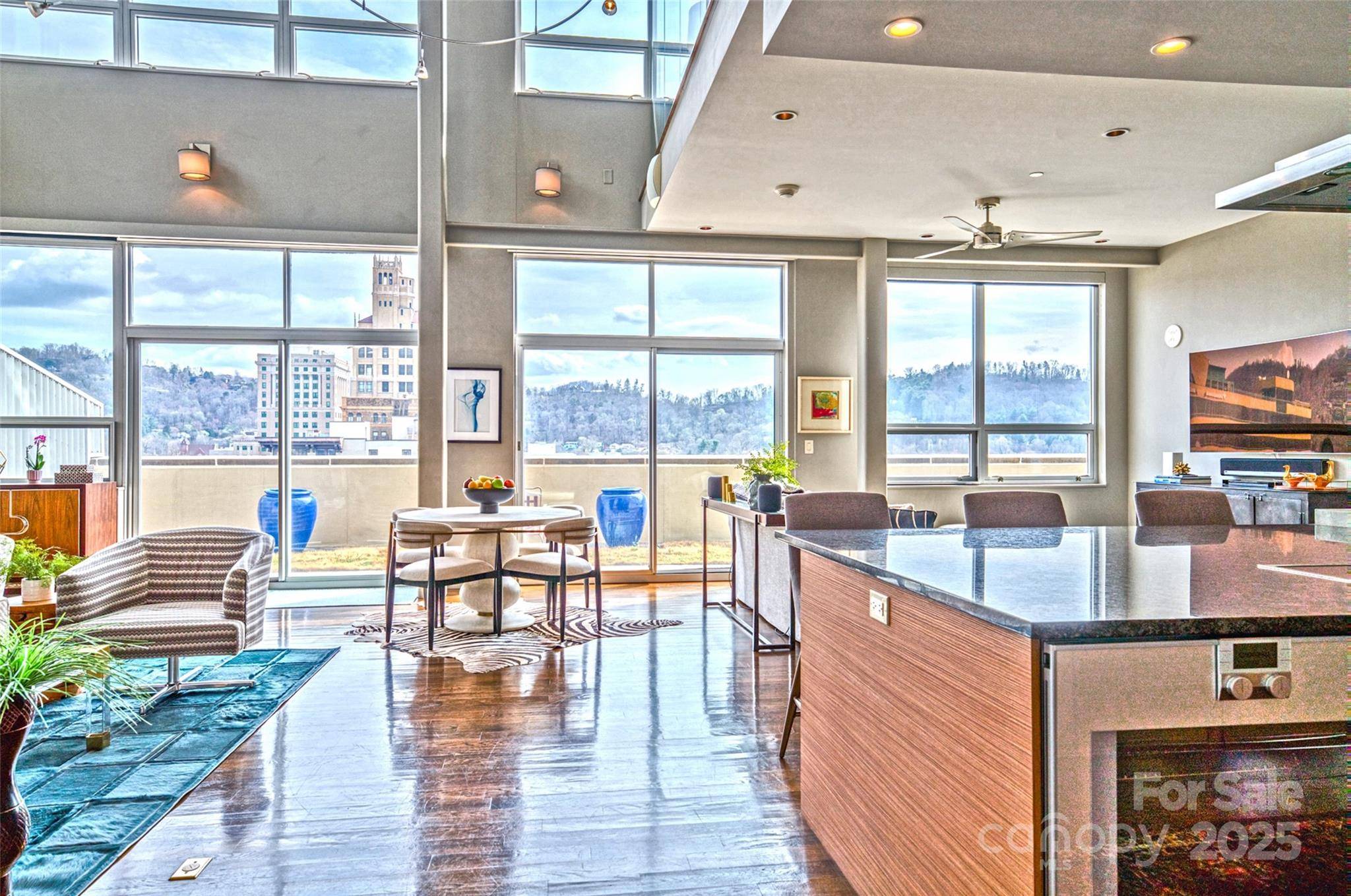 12 S Lexington AVE #600, Asheville, NC 28801