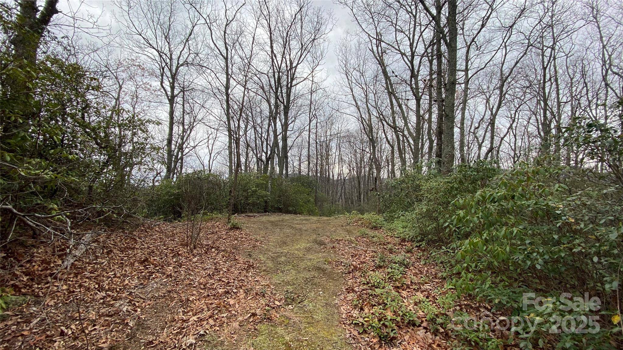 9999 Rocky Falls DR #6, Black Mountain, NC 28711