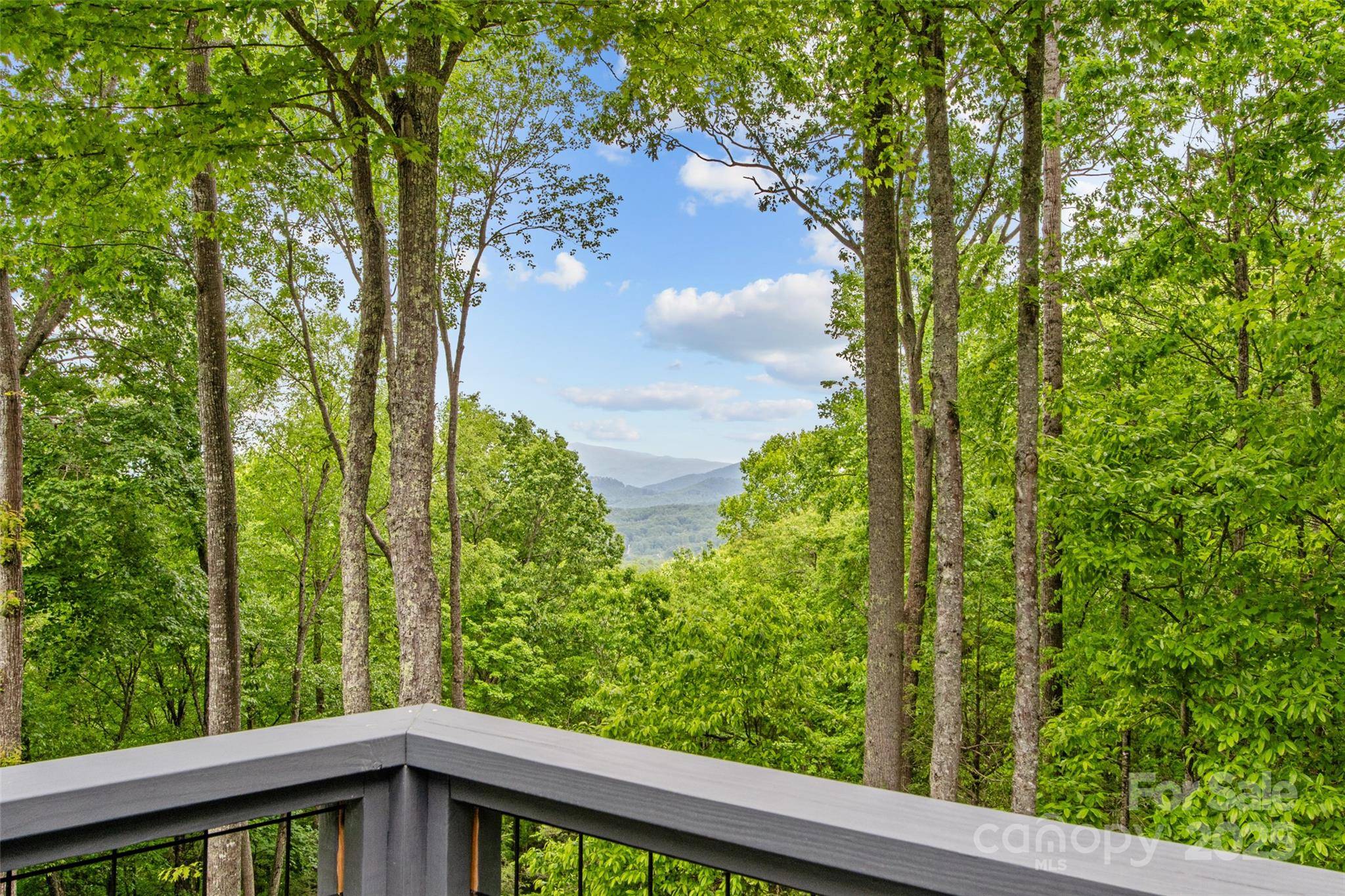 1595 Hickory Springs RD, Burnsville, NC 28714