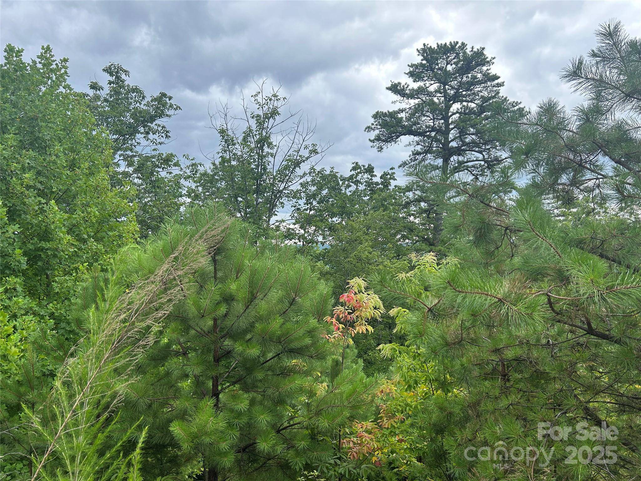 tbd Lobelia LN #72, Boone, NC 28607