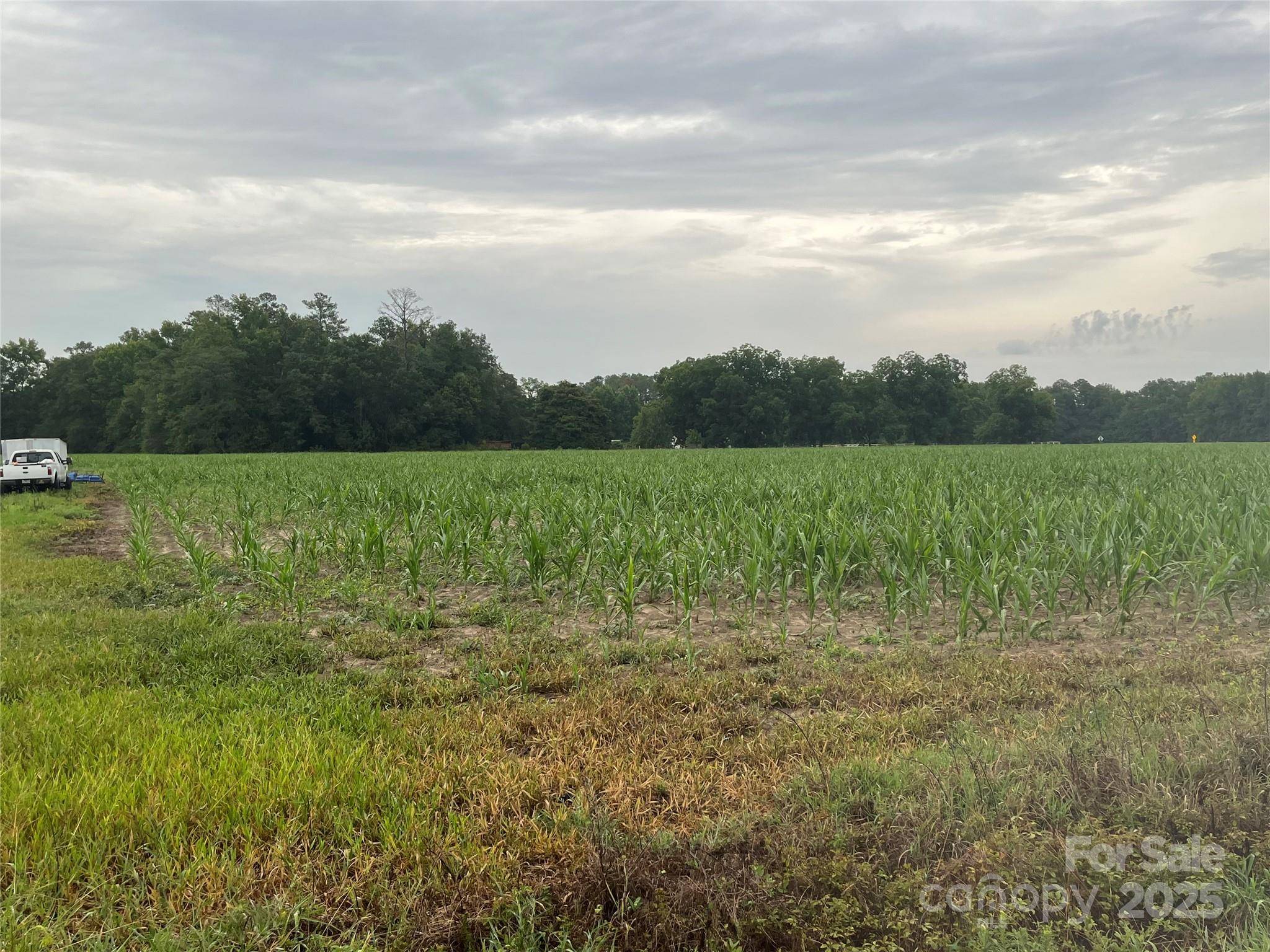 0 Manville Saint Charles RD #3, Bishopville, SC 29010