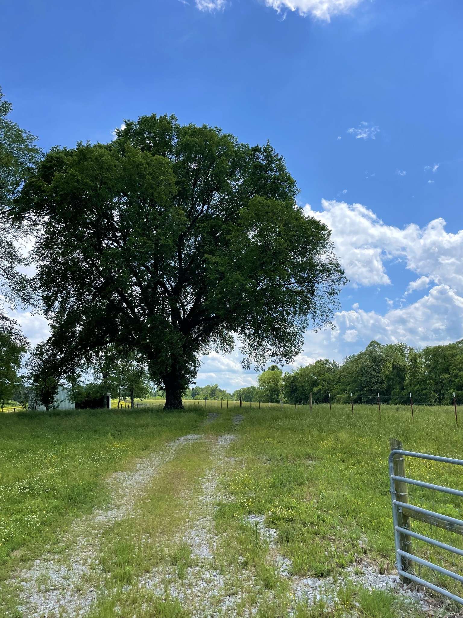 0 Spanntown Road, Arrington, TN 37014