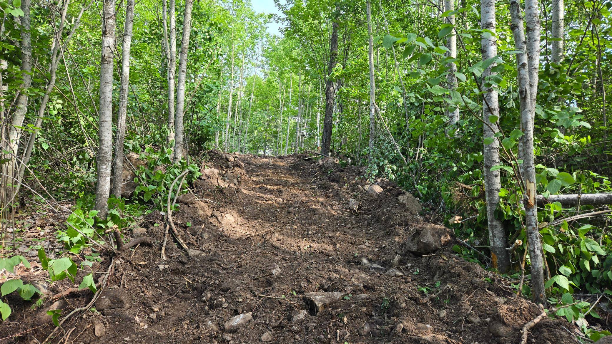 2825 Niles Bay Forest RD, Buyck, MN 55771