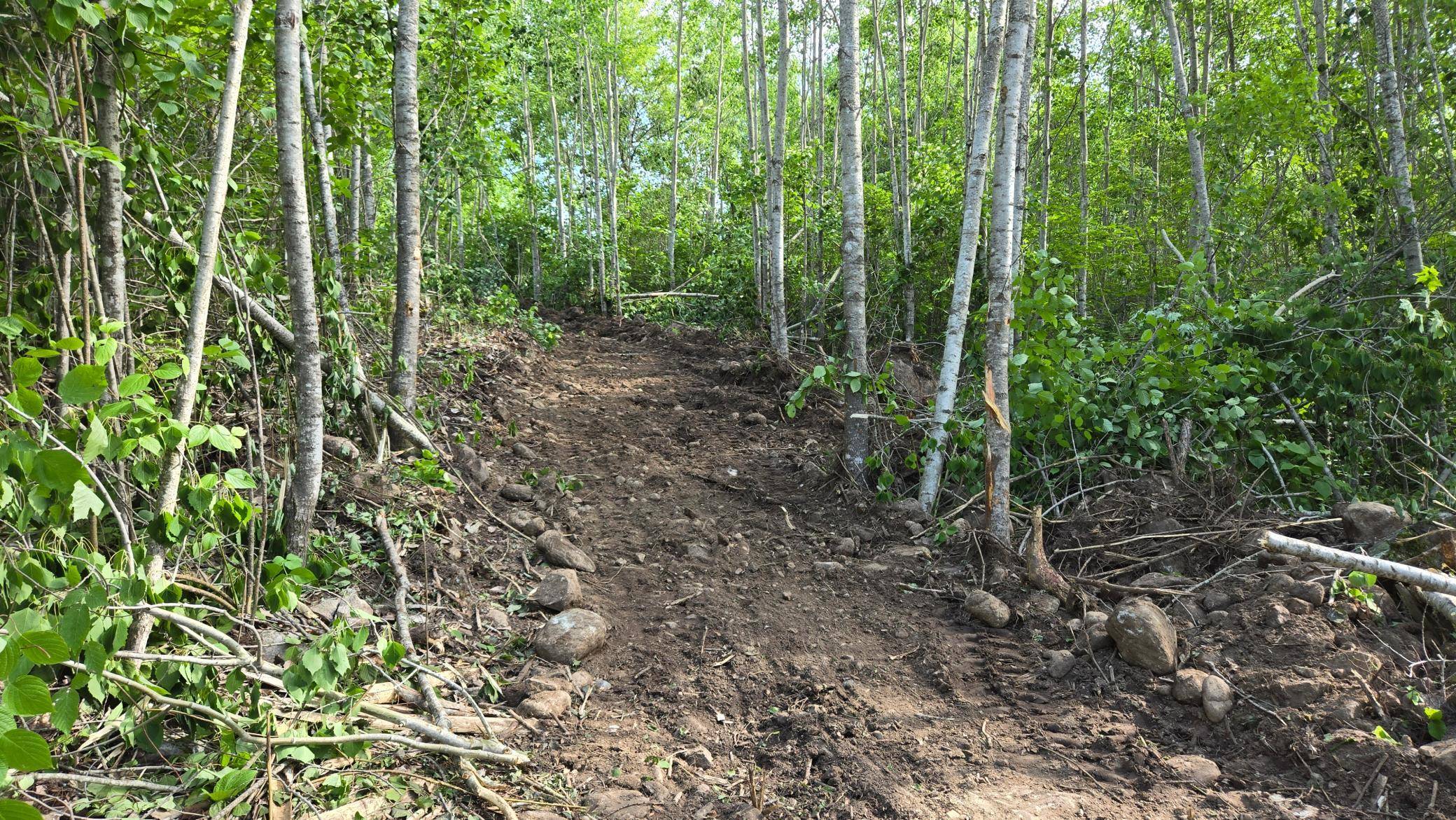 2825 Niles Bay Forest RD, Buyck, MN 55771