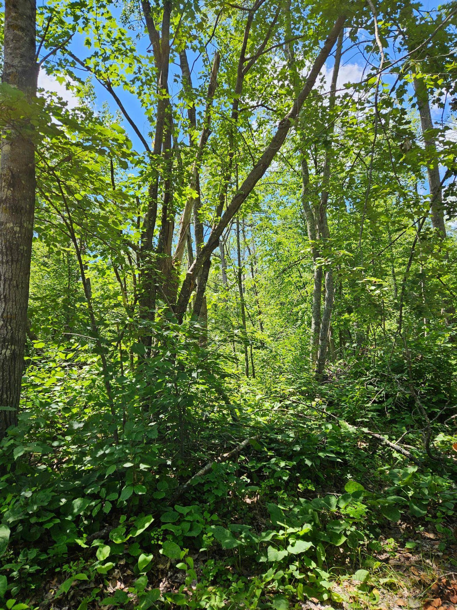 Lots 50-53 Snoquainie LN, Breezy Point, MN 56472