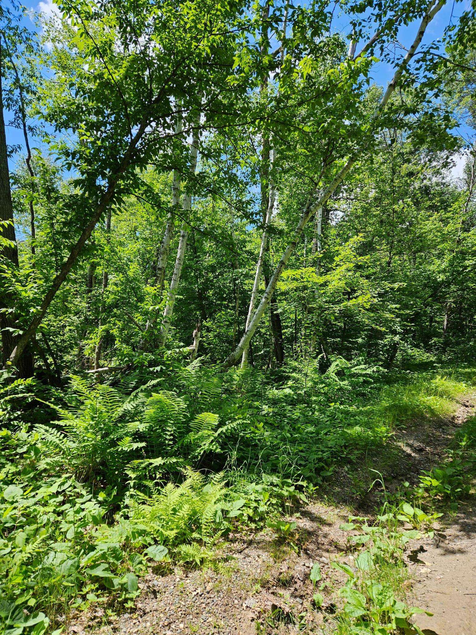 Lots 50-53 Snoquainie LN, Breezy Point, MN 56472