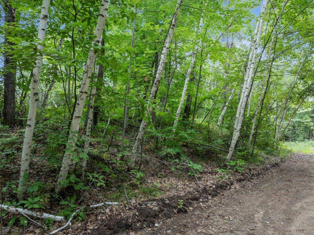 Lot 3-4-5-6 Shasta DR, Breezy Point, MN 56472