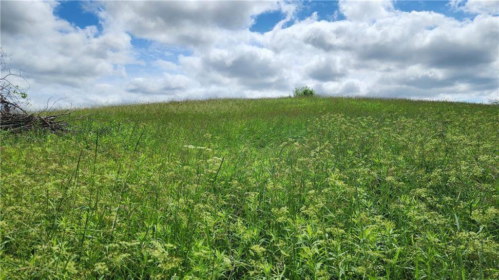 Lot 10 270th ST, Boyceville, WI 54725