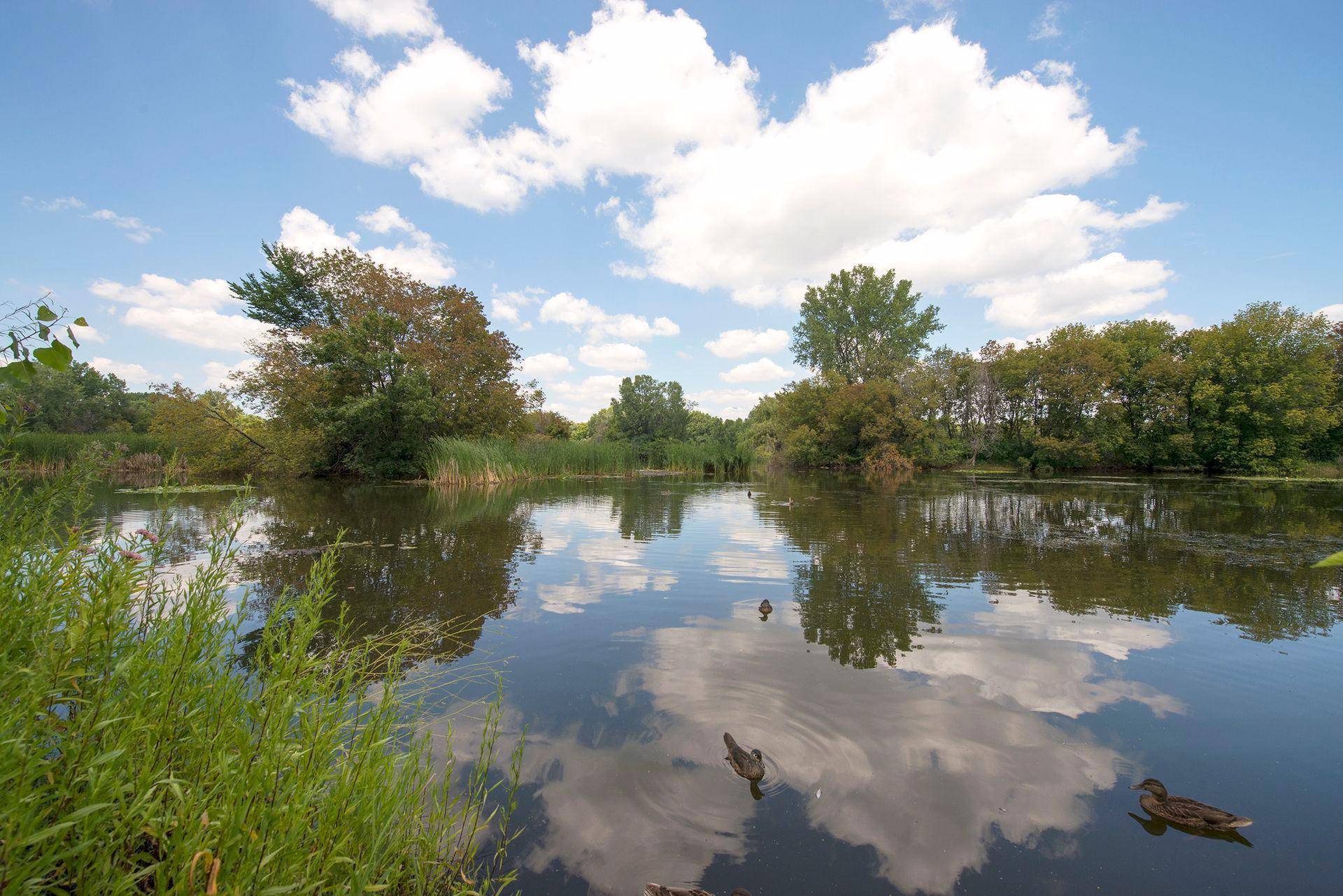 6356 Lyndale AVE S #W104, Richfield, MN 55423