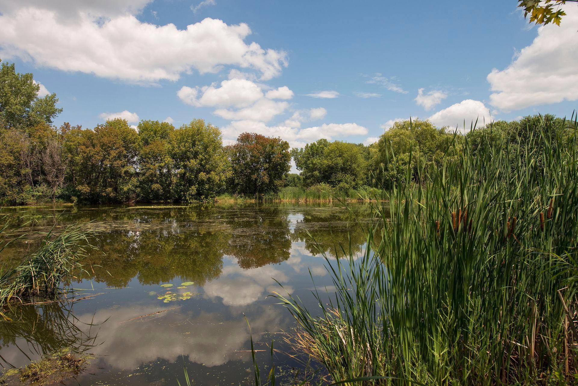 6356 Lyndale AVE S #W104, Richfield, MN 55423