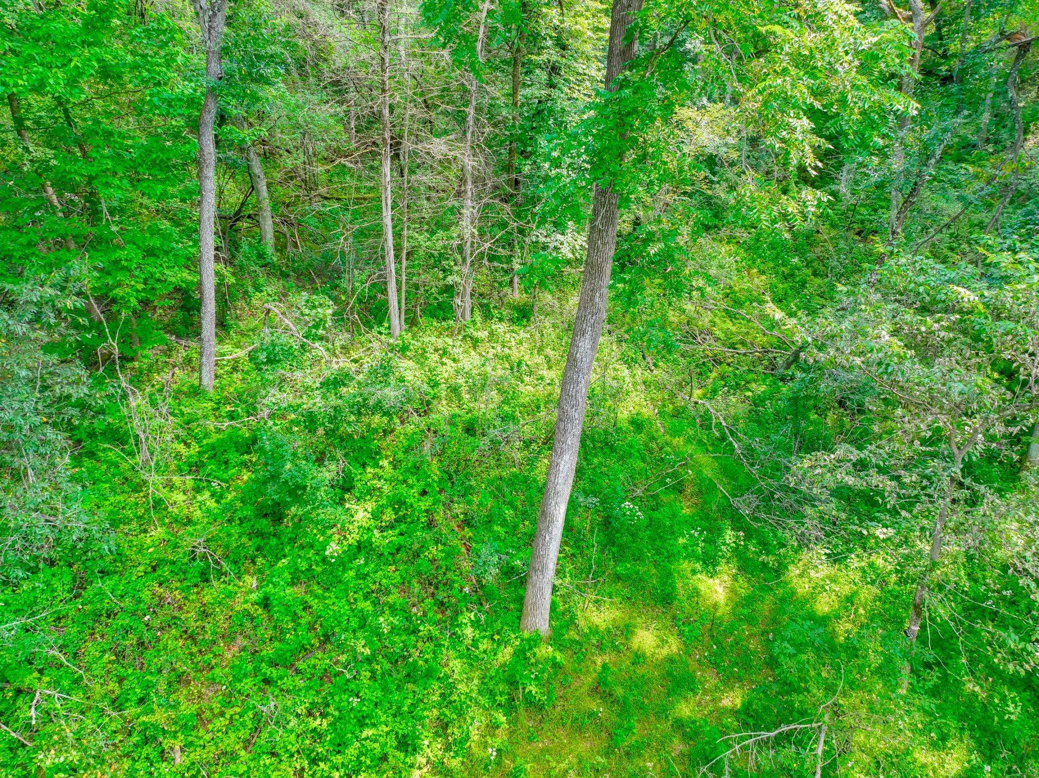 2555 Trading Post TRL S, Afton, MN 55001